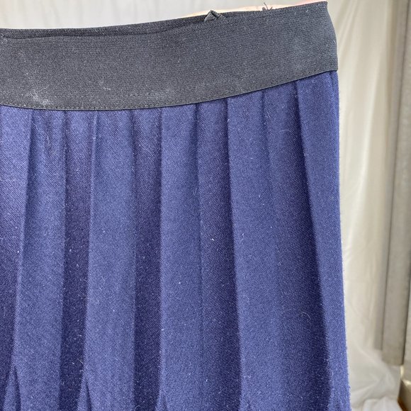 PANIZ Pleated Dual Stripe Skirt - Picture 8 of 8